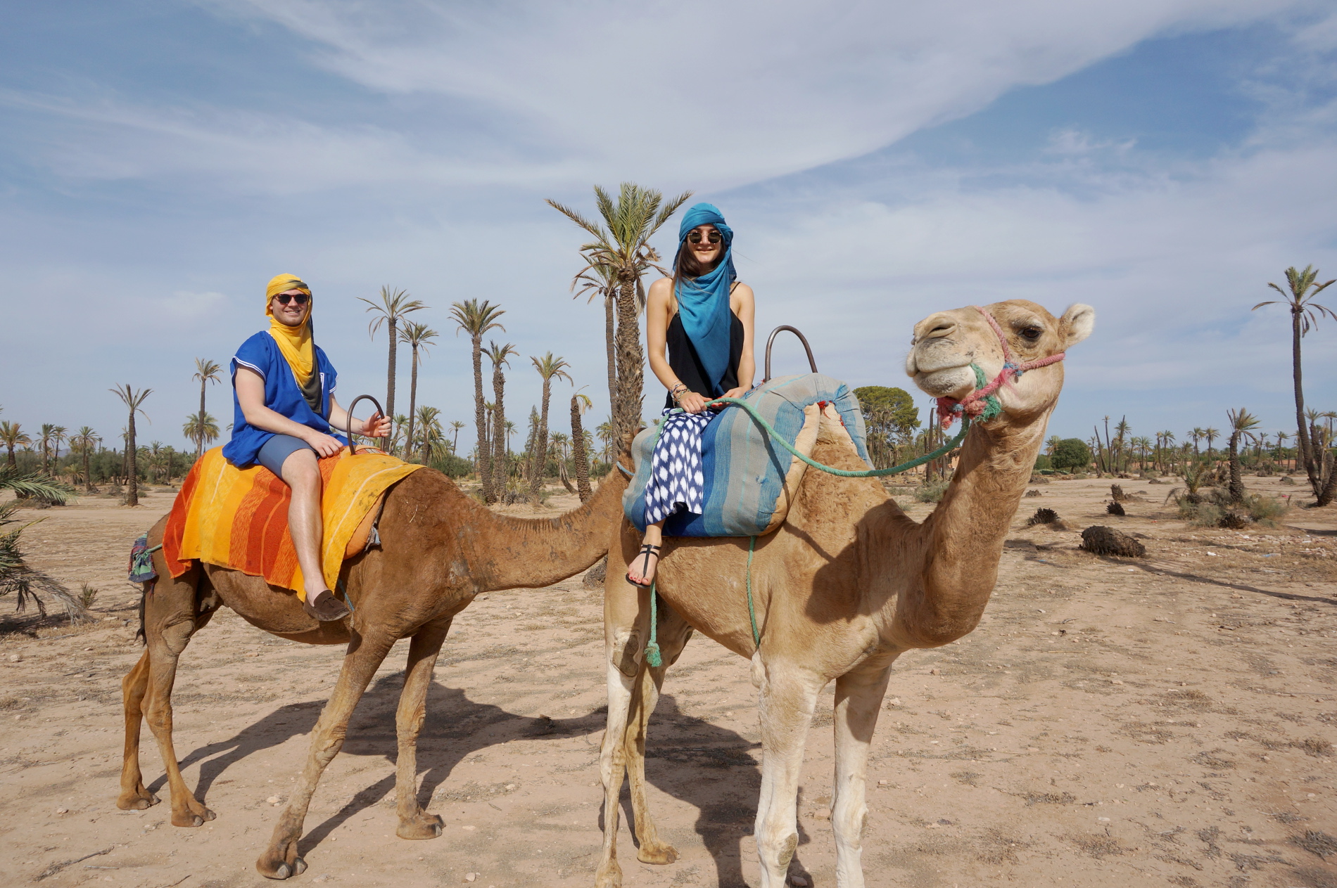 camel tours marrakech